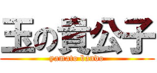 玉の貴公子 (yamato bando)