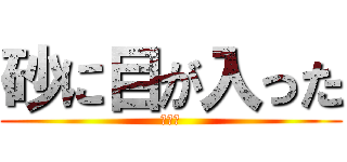 砂に目が入った (なお🌳)