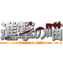 進撃の喵 (attack on neko)