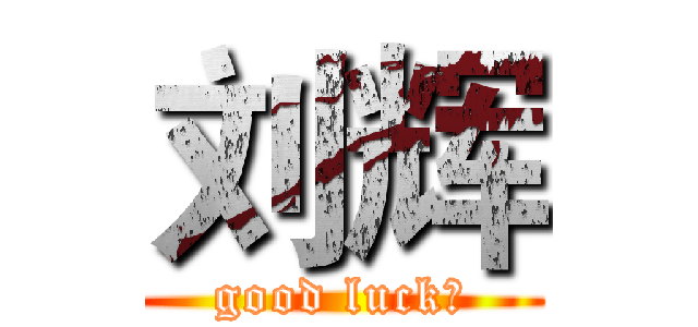 刘辉 (good luck！)