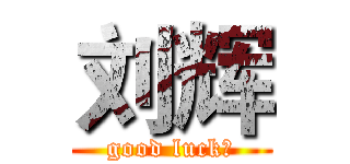 刘辉 (good luck！)