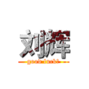 刘辉 (good luck！)