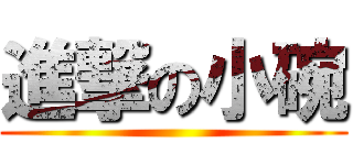 進撃の小碗 ()
