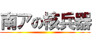 南アの核兵器 ()