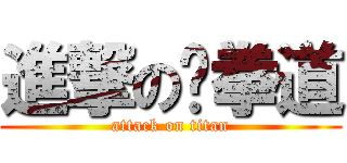 進撃の跆拳道 (attack on titan)
