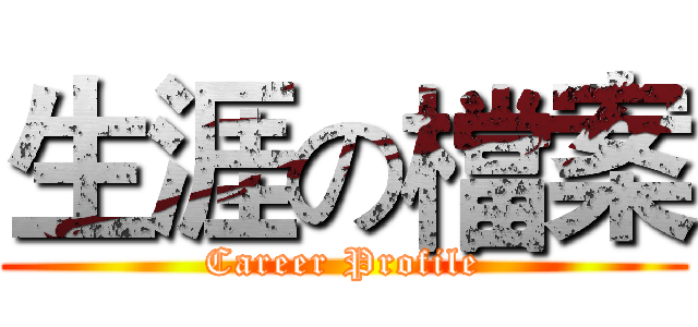 生涯の檔案 (Career Profile)