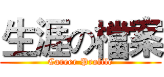 生涯の檔案 (Career Profile)