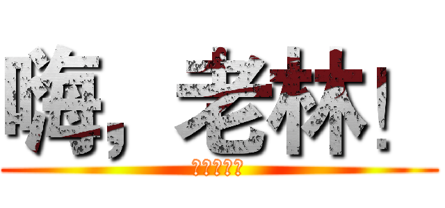 嗨，老林！ (嗨，老林！)