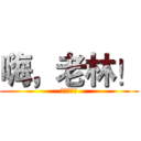 嗨，老林！ (嗨，老林！)