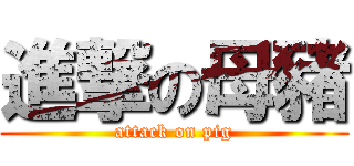 進撃の母豬 (attack on pig)