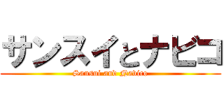 サンスイとナビコ (Sansui and Navico)