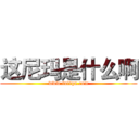 这尼玛是什么啊 (www.fuliqu.com)