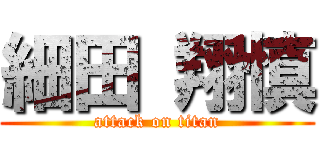 細田 翔慎 (attack on titan)