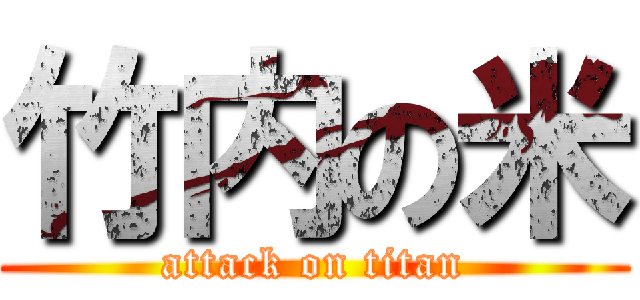竹内の米 (attack on titan)