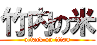 竹内の米 (attack on titan)
