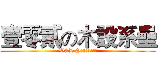 壹零貳の木設系壘 (WSD Softball)