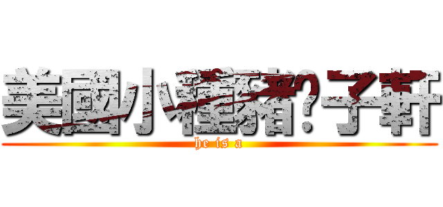 美國小種豬吳子軒 (he is a)