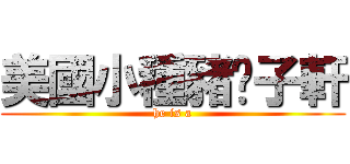 美國小種豬吳子軒 (he is a)