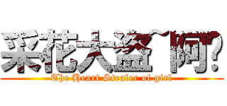 采花大盗~阿鱼 (The Heart Stealer of girl)