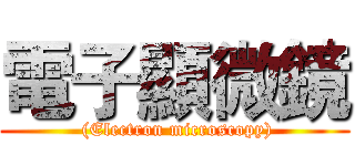 電子顯微鏡 ( (Electron microscopy))