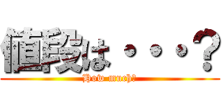 値段は・・・？ (How much？)