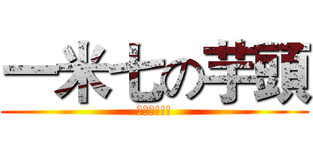 一米七の芋頭 (屁股頭!!!)