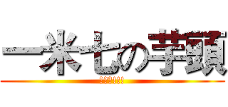 一米七の芋頭 (屁股頭!!!)