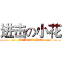 进击の小花 (jinjidexiaohua)