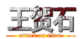 王贺石 (attack on titan)