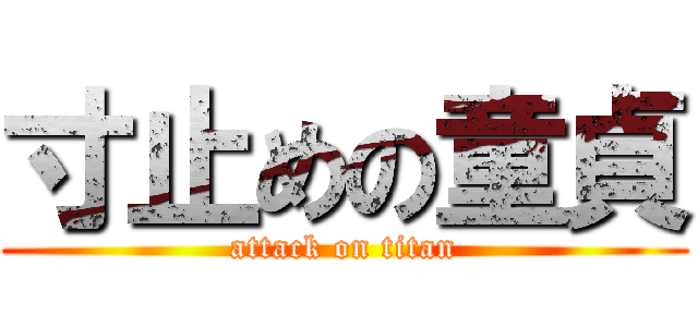 寸止めの童貞 (attack on titan)