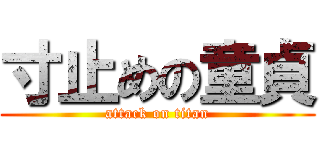 寸止めの童貞 (attack on titan)