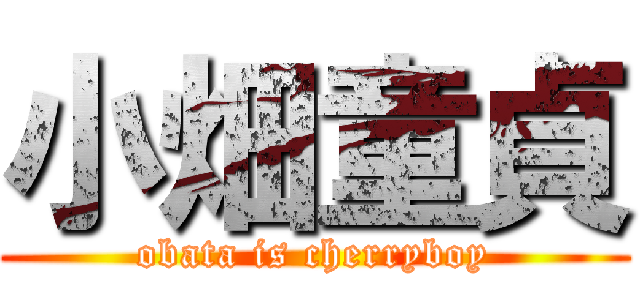 小畑童貞 (obata is cherryboy)