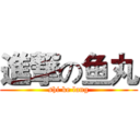 進撃の鱼丸 (shi ke lang)