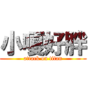小嗄好胖 (attack on titan)
