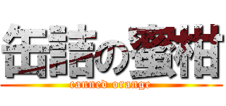 缶詰の蜜柑 (canned orange)