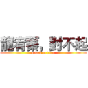 龍宥蓁，對不起 (attack on titan)