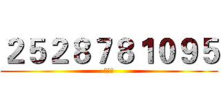 ２５２８７８１０９５ (王海兴)