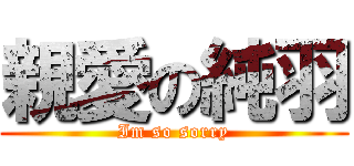 親愛の純羽 (Im so sorry)