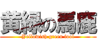 黄緑の馬鹿 (Yellowish green fool)