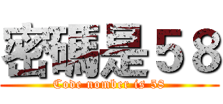密碼是５８ (Code nomber is 58)