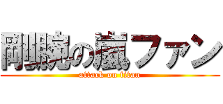 剛腕の嵐ファン (attack on titan)