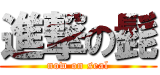 進撃の髭 (now on seal)