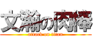 文瀚の肉棒 (attack on titan)