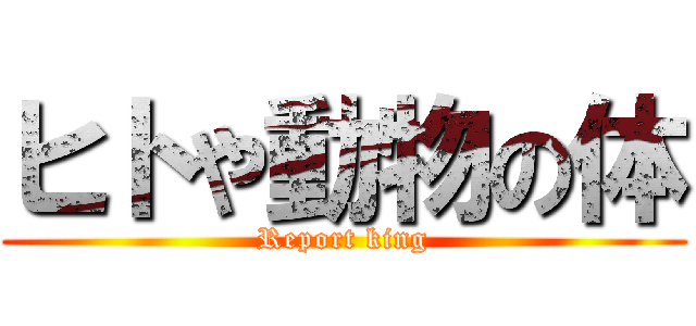ヒトや動物の体 (Report king)