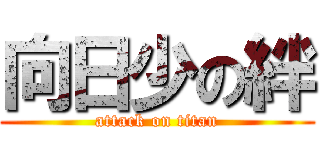 向日少の絆 (attack on titan)