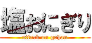 塩おにぎり (attack on gohan)