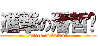 進撃の潘哲晓 (attack on banana)