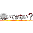 焼いてかない？ (まずうちさぁ、屋上…あんだけど)