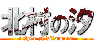 北村の汐 (ushio of kitamura)