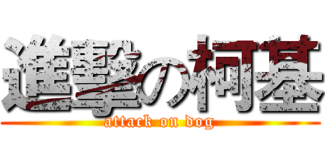 進擊の柯基 (attack on dog)